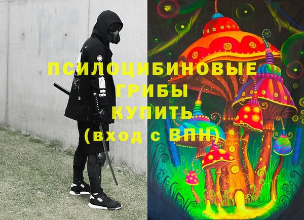 сатива Алексеевка
