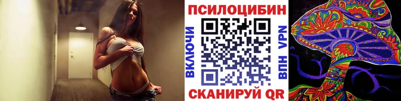 Псилоцибиновые грибы MAGIC MUSHROOMS  купить наркотик  Новозыбков 