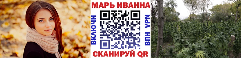 Марихуана гибрид  как найти закладки  Новозыбков 